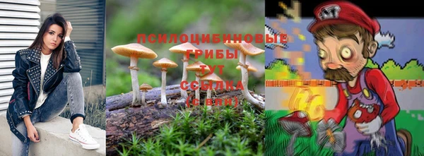 стафф Богданович