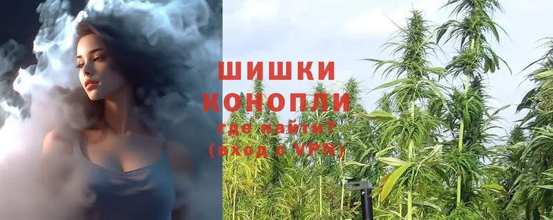 купить  цена  Ужур  Шишки марихуана SATIVA & INDICA 